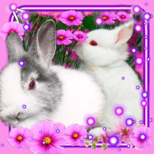 Funny Bunnies Live Wallpaper - Apps en Google Play