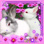 Funny Bunnies Live Wallpaper Apk