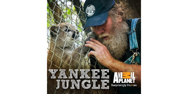 Yankee Jungle: Season 1 - TV on Google Play