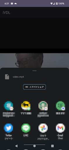 Save Video URL to File :iVDL Screen 2
