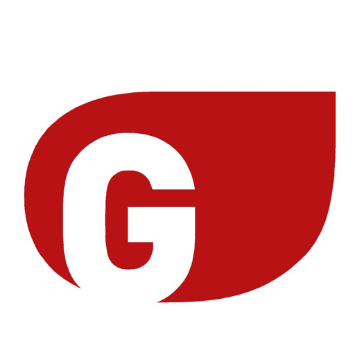 Finques Gassiot logo