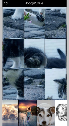 Pets Puzzle - Doge & Catty Screen 2