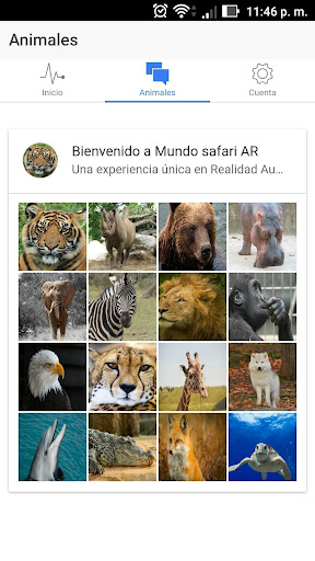 Android application safari AR screenshort