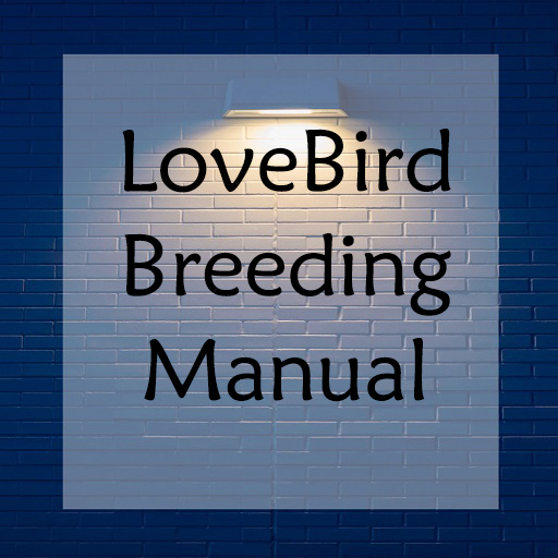 Lovebirds Breeding Windows'ta İndir