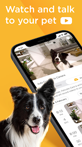 Petcube google home sale