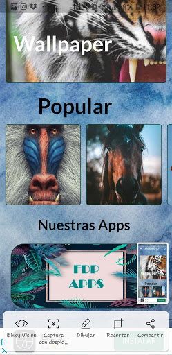 Animales HD Fondo de Pantalla Screen 2