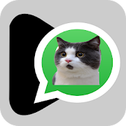 Stickers Memes Adhesivos de Gatos para WhatsApp