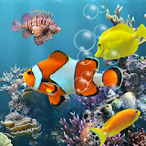 Fish Aquarium Free icon