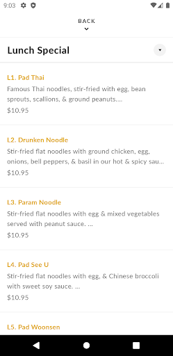 Coco Thai Kitchen Screen 3