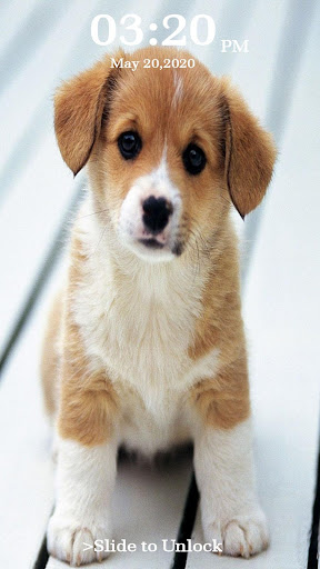 Puppy Dog Lock Screen Screenshot 2 - AppWisp.com