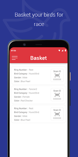 Pigeon Sports Clock Screen 3