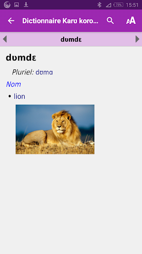 Dictionnaire koromfe-français Screen 2