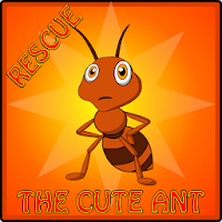 Rescue The Cute Ant