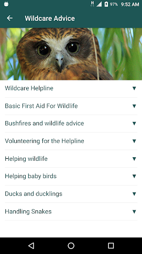 Wildcare Helpline Screen 3