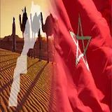 Western Sahara issue icon