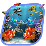 Cool Fish Wallpaper Live icon