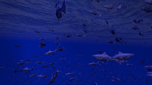Android application Be a Fish - VR Simulator screenshort
