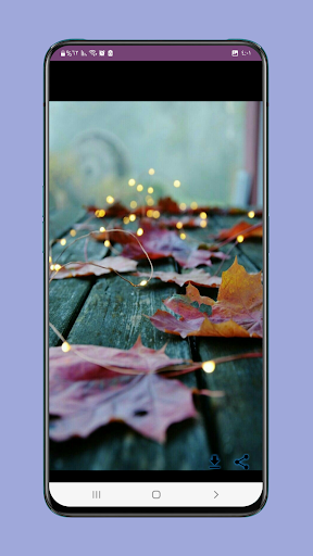 fall wallpaper iphone