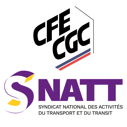 SNATT logo