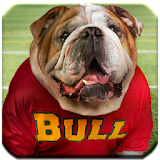 Bulldogs - HD Wallpapers icon