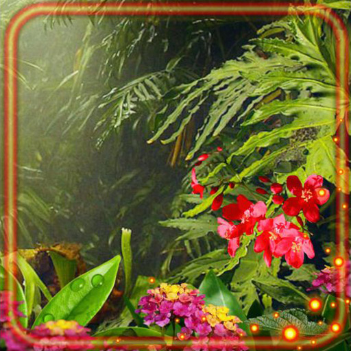 Tropical Forest World
