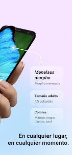 Descargar Picture Insect Premium APK 2025 – Insectos ID 2