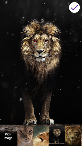 Featured image of post Lock Screen Hd Wallpapers Lion - Best lion wallpaper, desktop background for any computer, laptop, tablet and phone.