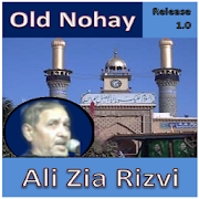 Old Nohay - Ali Zia Rizvi