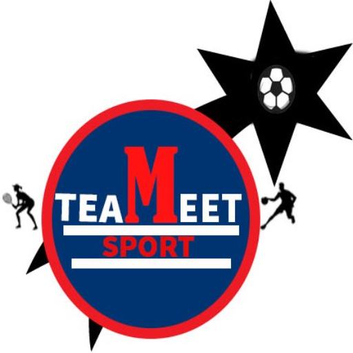 TeamMeet logo