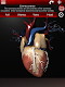 screenshot of Circulatory System 3D Anatomy