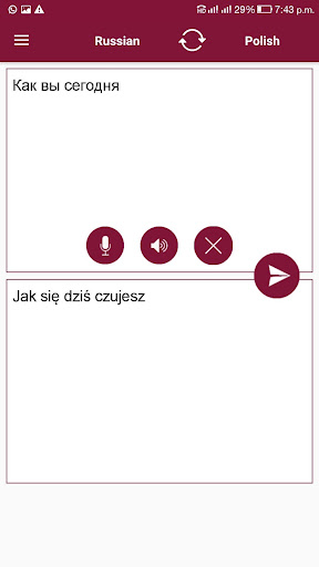 Polish - Russian Translator Screen 2