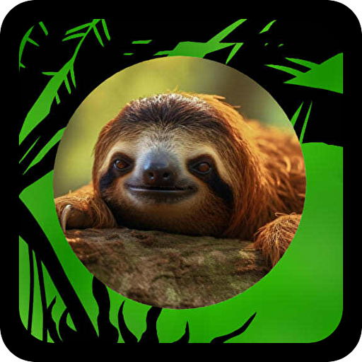 ナマケモノ(なまけもの) クイズアプリ 動物 雑学系 logo