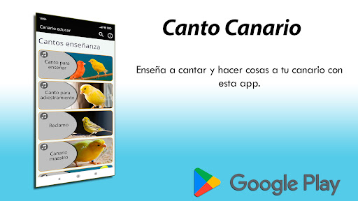 Canto Canario Screen 2