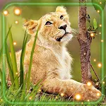 Cover Image of डाउनलोड Lions Live Wallpaper 1.3 APK