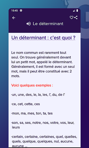 Grammaire Française Screen 3