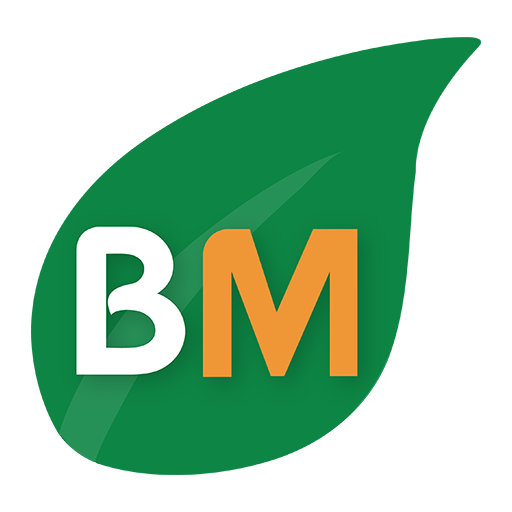 BigMart logo