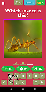 Guess The Insect Game