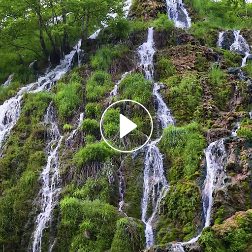 Video Wallpaper logo