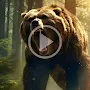 Bear Video Wallpaper