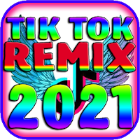 DJ Tik Tok Remix 2021 - DJ Tik Tok 2021