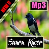 Suara Kacer mp3 icon