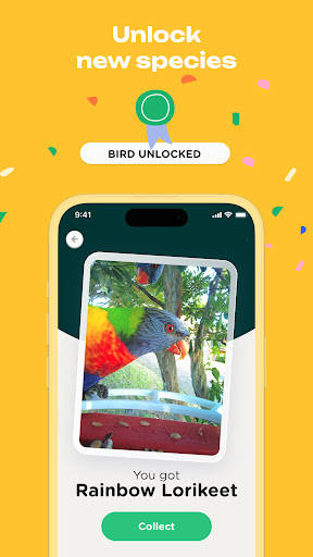 Bird Buddy: Tap into nature ‒ Applications sur Google Play
