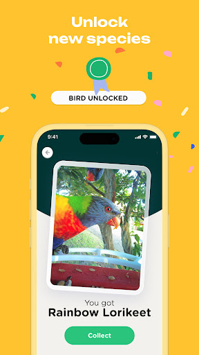 Bird Buddy: Tap into nature Screen 3