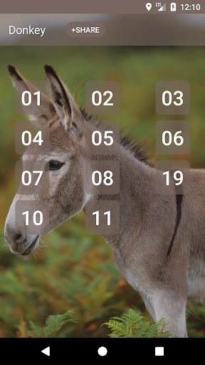 Android application Donkey sounds screenshort
