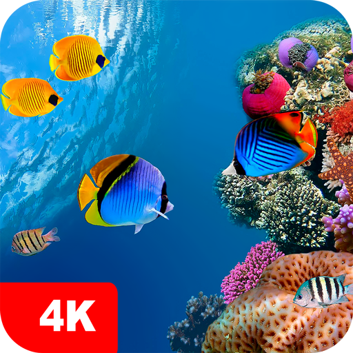 Underwater Wallpapers 4K logo