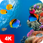 Cover Image of Descargar Underwater Wallpapers 4K  APK