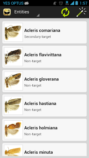 TortAI Key Screen 2