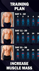 男性の体重を減らす 30 日