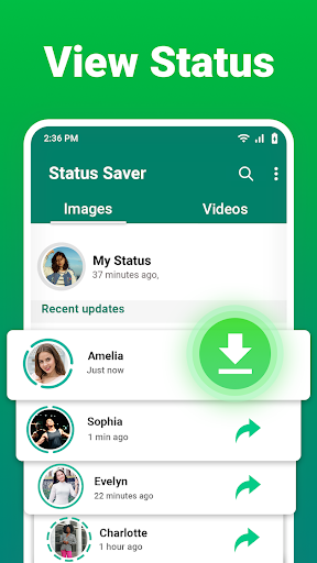 Status Saver 2024 Screen 2