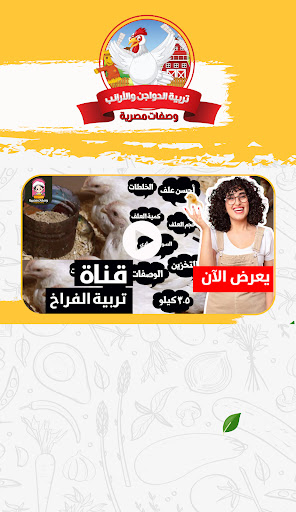 تربية الفراخ في المنزل Screen 3